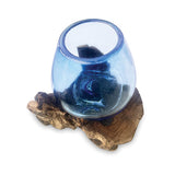 Root with Blue Tinted Glass Bowl tiny