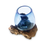 Root with Blue Tinted Glass Bowl tiny