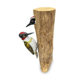 Woodpecker and Chick large 28cm