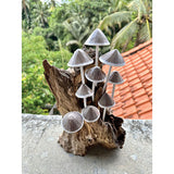 Ink Cap Mushroom Colony Driftwood Sculpture H30cm