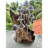 Ink Cap Mushroom Colony Driftwood Sculpture H30cm