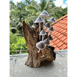 Ink Cap Mushroom Colony Driftwood Sculpture H30cm