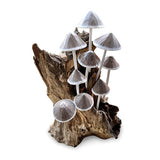 Ink Cap Mushroom Colony Driftwood Sculpture H30cm