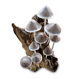 Ink Cap Mushroom Colony Driftwood Sculpture H30cm