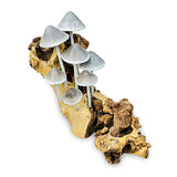 Ink Cap Mushroom Colony Driftwood Sculpture H30cm