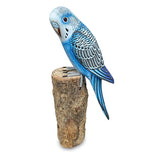 Blue Budgie 20cm