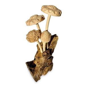 4 Shitake Mushrooms on Driftwood