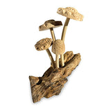 4 Shitake Mushrooms on Driftwood