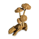 4 Shitake Mushrooms on Driftwood