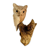 Single Tawny Owl on Driftwood