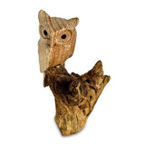 Single Tawny Owl on Driftwood