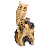 Single Tawny Owl on Driftwood