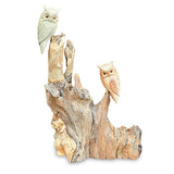 Double Tawny Owl on Driftwood