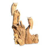 Double Tawny Owl on Driftwood