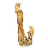 Double Tawny Owl on Driftwood