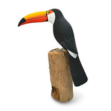 Toucan