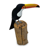 Toucan