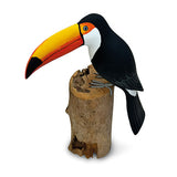 Toucan