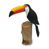 Toucan