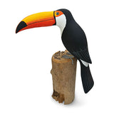 Toucan