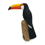 Toucan