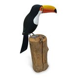 Toucan