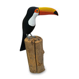 Toucan