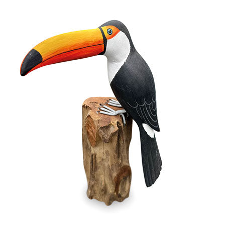 Toucan