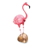 Coconut Pink Flamingo 48cm