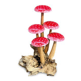 Fly Agaric Red/White 5 Mushroom Sculpture 16cm