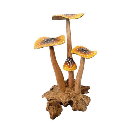 Yellow Blusher 4 x Mushrooms 20-22cm