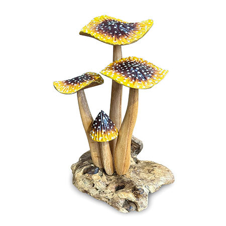 Yellow Blusher 4 x Mushrooms 20-22cm