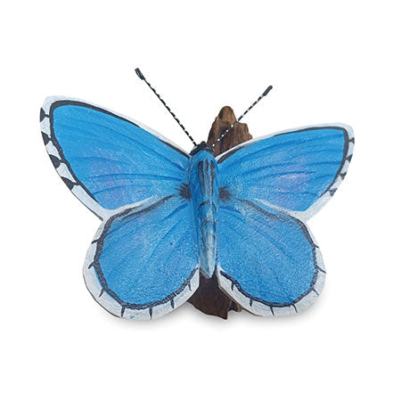 Holly Blue Butterfly on Driftwood