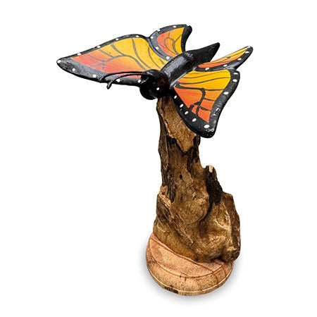 Single Monarch Butterfly on Driftwood