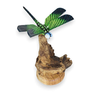 Single Emperor Dragonfly on Driftwood