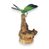 Single Emperor Dragonfly on Driftwood