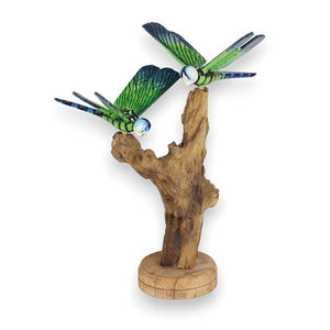 Double Emperor Dragonfly on Driftwood