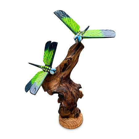 Double Emperor Dragonfly on Driftwood