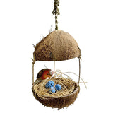 Hanging Robin’s Nest