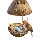 Hanging Robin’s Nest