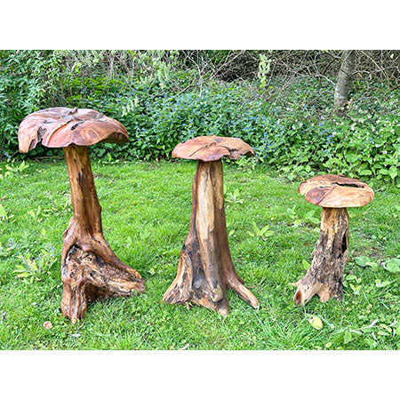 Root Giant Wild Mushrooms - set of 3