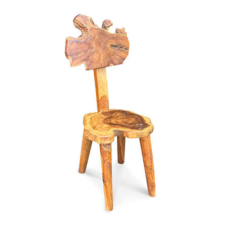 Root Mushroom Dining Chair