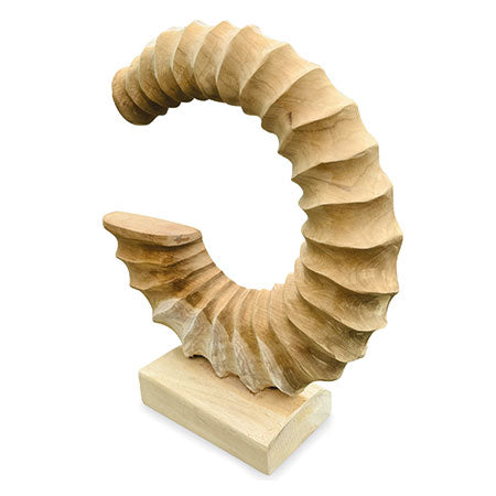 Teak Ammonite Trumpet Sculpture