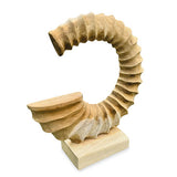 Teak Ammonite Trumpet Sculpture