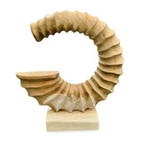 Teak Ammonite Trumpet Sculpture