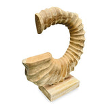 Teak Ammonite Trumpet Sculpture