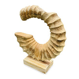 Teak Ammonite Trumpet Sculpture