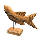 Star Gazing Koi Carp Sculpture