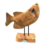 Star Gazing Koi Carp Sculpture