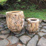 Teak Root Garden Planter Pots set of 2